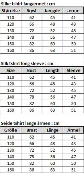 Silk tshirt long sleeve